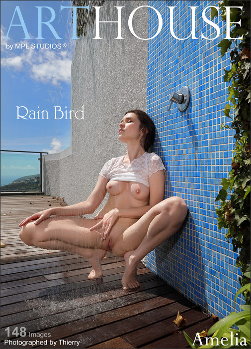 Amelia - Rain Bird (19.09.2023)