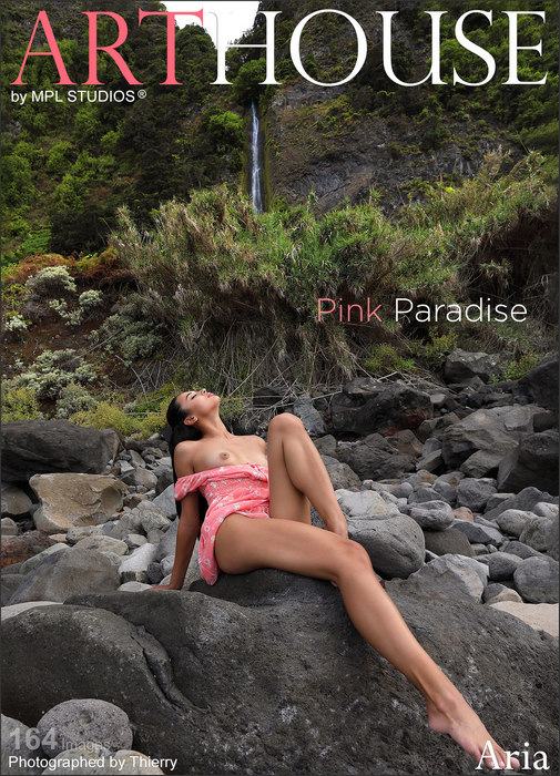 Aria - Pink Paradise (21.10.2023)