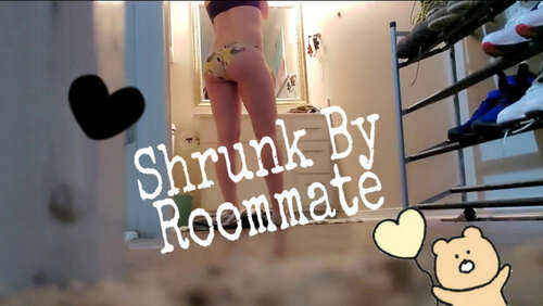 Miss Malorie Switch – Shrunk By Roommate - Cover
