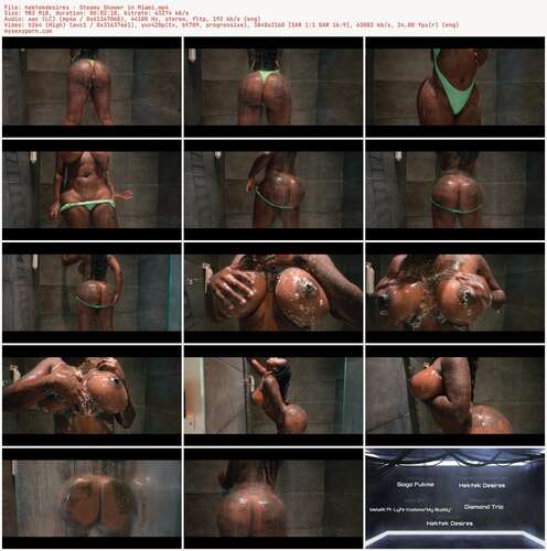 hektekdesires - Steamy Shower in Miami 2160p - Preview