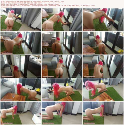 Annaplayboy - 21 08 2020 102579655 - A Funny Kitty Is Played With A Kitty 1080p - Preview