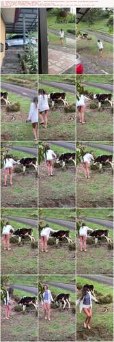 Fitbrycevip - 04 02 2022 2349460537 - I Made Friends These Are Costa Rican Cowsies As I Call Them. So Excited And So Much Fu 1920p - Preview