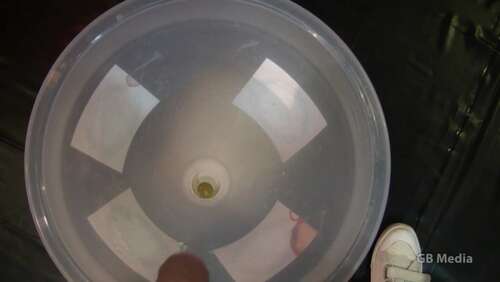 Gangbang Chief – 5 Litre Pee Collection With Rosella 720p - Cover