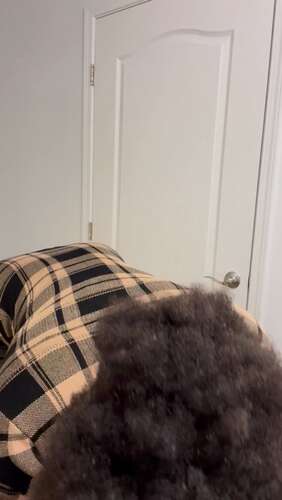 Foxybrown20 – Mall Cop Search Me For Goods 1920p - Cover