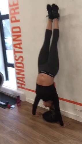 Danniiharwood – 17 03 2017 185039 – Handstand Pressups Video Upperbodystrength 848p - Cover