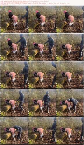 X69Dwayned69X - 22 01 2021 2014079017 - Had Some Fun In The Woods With Thiccmermaid 1080p - Preview