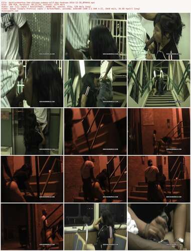 Darklordmarkus - 3Am Chicago Subway Milf Bbc Hookups 2016 12 30 Nphhha 480p - Preview