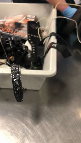 Eeveefrost – 24 01 2020 19859860 – All Of My Sex Toys Including The Huge Blue And Yellow B 1920p - Cover