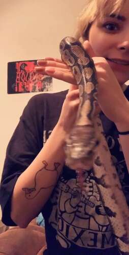 Envyanne – 2020 01 03 17911042 – Can You Tell How Scared I Am Of Snakes. Wheels Needed Some Attention 1232p - Cover