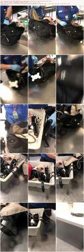 Eeveefrost - 24 01 2020 19859860 - All Of My Sex Toys Including The Huge Blue And Yellow B 1920p - Preview