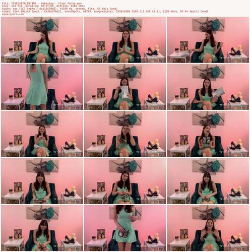 TSVEGASVALENTINE - Unboxing - Clear Purse 1080p - Preview
