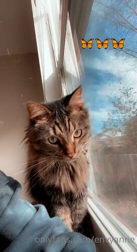 Envyanne – 2021 05 08 2104154933 1232p - Cover