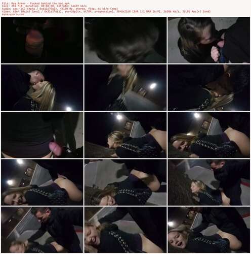 Mya Ryker - Fucked Behind The Bar 2160p - Preview