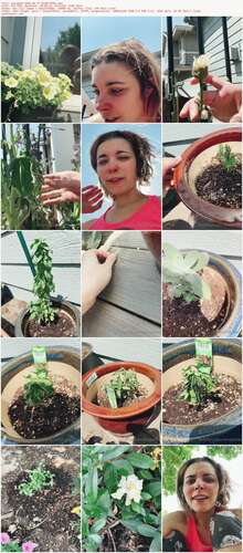 Envyanne - 2021 06 17 2138772951 1440p - Preview