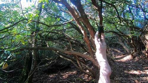 Erynrose – 14 10 2020 1034390512 – Behind The Scenes Of Yesterdays Photos Featuring The Lovely 1080p - Cover