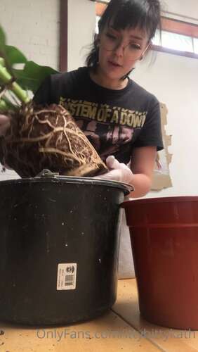 Feyafern – 02 10 2020 971614412 – Brb Trying To Save My Monstera From Dying. 1920p - Cover