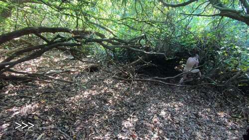 Erynrose – 08 10 2020 983569473 – Two Naked Woodland Creatures Taking Pretty Pictures With 760p - Cover