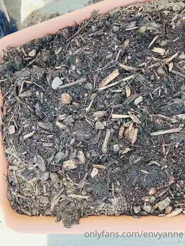 Envyanne – 2021 06 17 2138772951 1440p - Cover