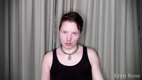 Erynrose – 30 12 2020 1492374261 – A Collection Of The Tangents From My Submission Vs 1080p - Cover