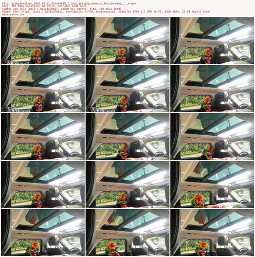 Gibbytheclown 2020.09.21 934646020 - I Love Getting Head In The Morning.. M 720p - Preview