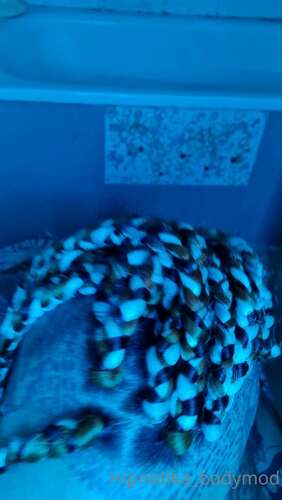 Hipnotika Bodymod – 18 11 2021 2277920963 1920p - Cover