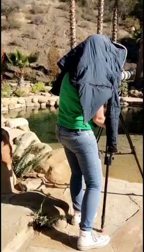 Hollyrandall – 28 02 2018 7417933 – Uncensored Behind The Scenes Content Of My Shoot With 672p - Cover