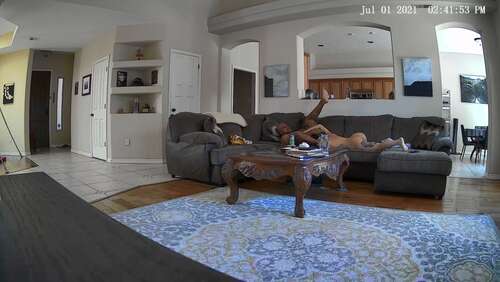 TheRealBigTre – Her Husband Caught Us On Security Cams 1296p - Cover