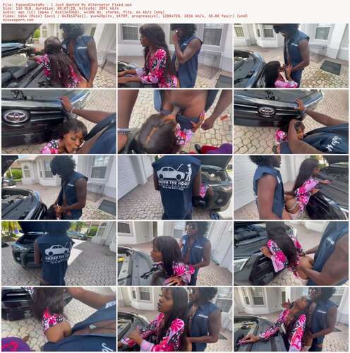 FaeandChetaMv - I Just Wanted My Alternator Fixed 720p - Preview