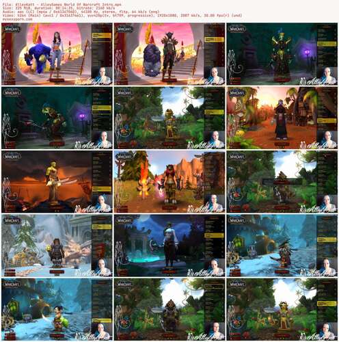 AlleyKatt - AlleyGames World Of Warcraft Intro 1080p - Preview