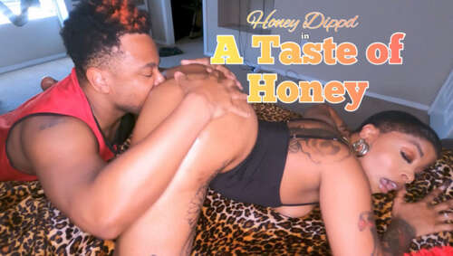 FinnysPlayhouse – A Taste of Honey Dipped C 1080p - Cover