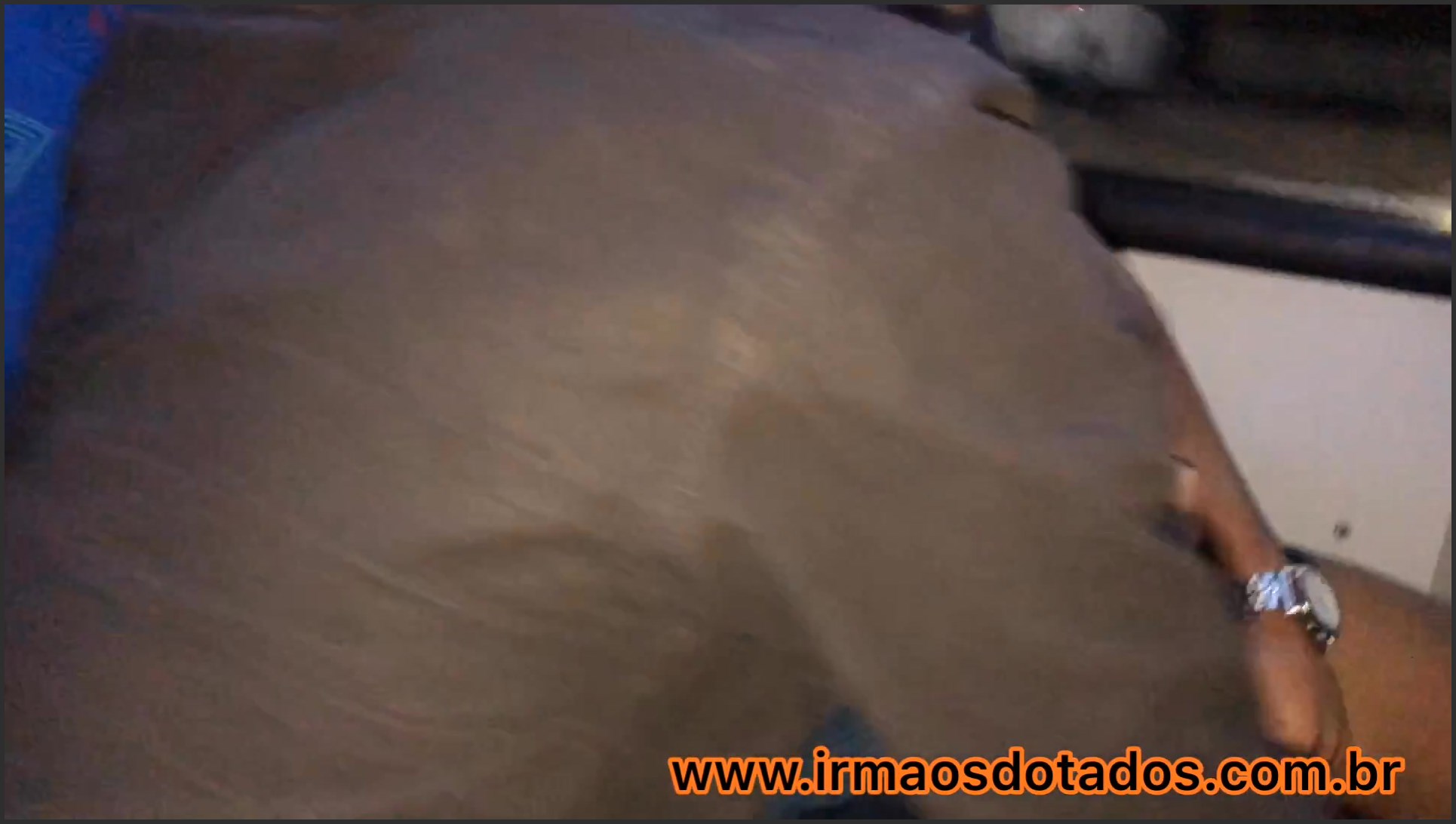 IrmaosDotados.com.br] Boquete no onibus [1080p] » Sexuria Download Porn  Release for Free