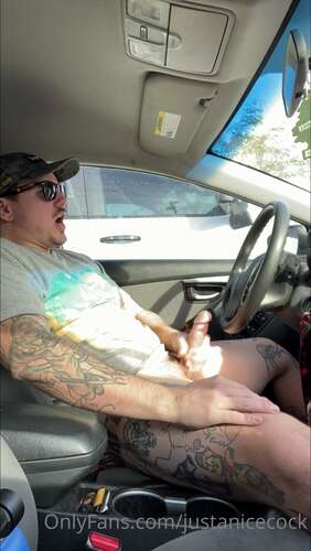 Justanicecock – 01 02 2023 2760911763 – Would You Be My Copilot 1918p - Cover