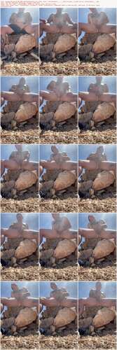 Justanicecock - 07 05 2022 2447942458 - Went On A Hike With The Roommate Still Trying To Get Him To Participate 1918p - Preview