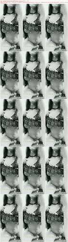 Laceybloom - 06 12 2019 99200102 - Stick Out Your Tongue 2288p - Preview