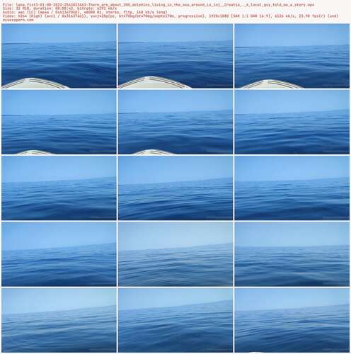 Lana.Fist3 - 01 08 2022 2543823463 - There Are About 200 Dolphins Living In The Sea Around Lo Inj Croatia. A Local Guy Told Me A Story 1080p - Preview