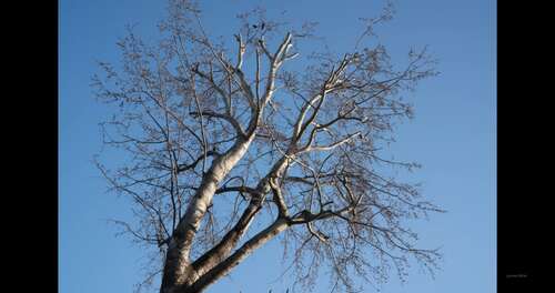 Laurenbrite – 09 03 2021 2050570076 – Finally Yesterday I Spent Few Minutes Under The Sun Doing What Once Brought Me Joy And 2160p - Cover