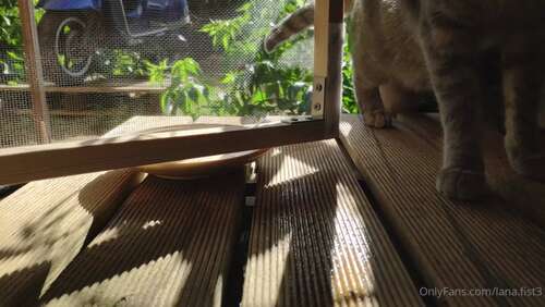 Lana.Fist3 – 05 10 2022 2627965261 – Saving He Almost Got Caught Again She Caught Him And Let Him Die In Her Water 1080p - Cover