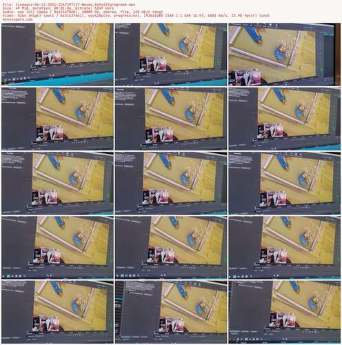 Lisamaus - 06 11 2021 2267397137 - Neues Schnittprogramm 1080p - Preview