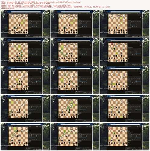 Lisamaus - 13 12 2021 2301069612 - Stream Started At 12 13 2021 09 17 Pm Schach 720p - Preview