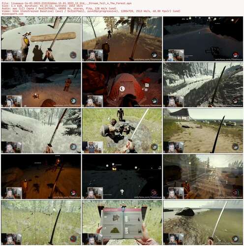 Lisamaus - 16 01 2022 2331526066 15.01.2022 12 Std. Stream Teil 4 The Forest 720p - Preview