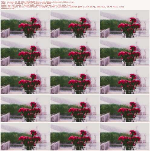 Lisamaus - 11 03 2021 2052035239 - Neues Asmr Video 3 New Asmr Video 3 720p - Preview