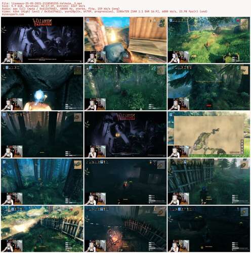 Lisamaus - 25 05 2021 2118585255 - Valheim 3 720p - Preview