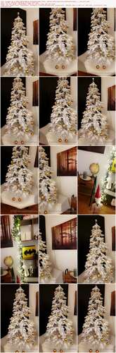 Lisamaus - 06 12 2020 1397152308 - Der Weihnachtsbaum Steht Welche Farbe Haben Eure Weihnachtskugeln The Chris 1296p - Preview