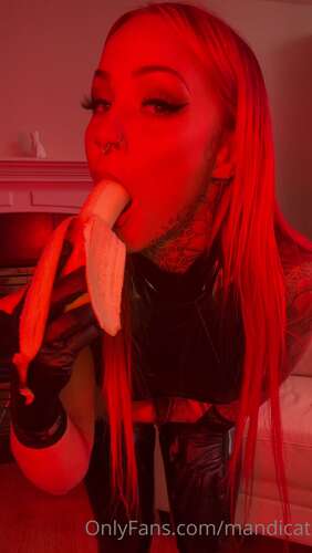 Mandicat – 22 01 2023 2742729716 – Wtf 1920p - Cover