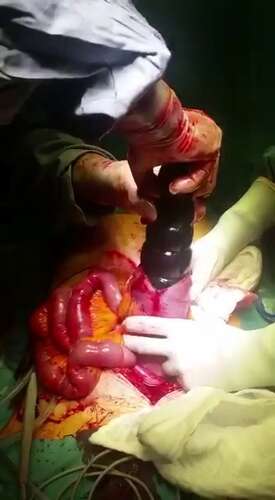 Madamsamantha11 – 26 03 2018 8153118 – Omg This Is Crazy 640p - Cover