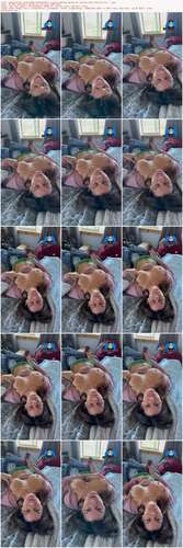 Themaryburke - 30 01 2024 3182237765 - I M Just Getting Warmed Up. Stroke That Dick For Me. 1920p - Preview