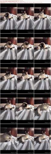 Inky Real - 2021 09 18 2224363471 0Gulhmx5Xlmtks9Iyd61N Source 1024p - Preview