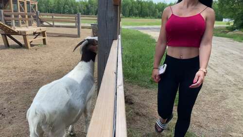 Misslexa – 24 06 2021 2145065310 – I Also Showed The Goats My Ass Lucky Goats 1080p - Cover