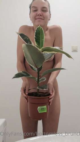 Mischagoeswild – 13 10 2021 2231164450 – I Ve Always Wanted A Variegated Rubber Plant 1920p - Cover