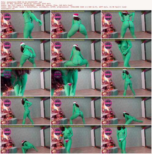 Monkeylina - 2020 12 24 1511531297 1080p - Preview